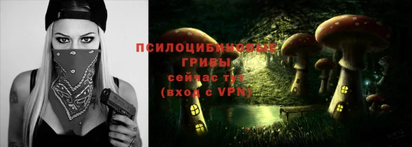 герыч Новозыбков
