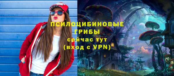 герыч Новозыбков