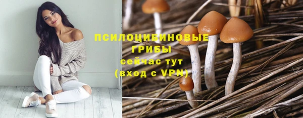 ешки Нефтекумск