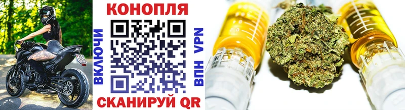 Бошки Шишки план Рыбное